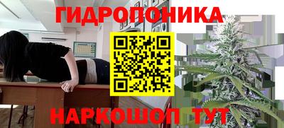 гидра Азнакаево