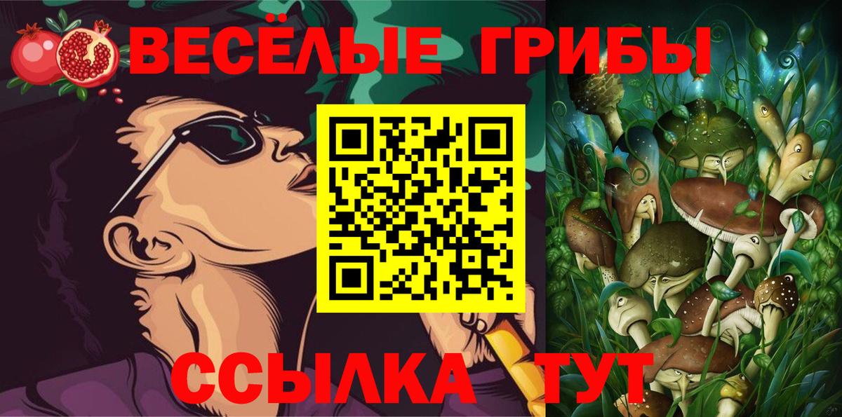 Псилоцибиновые грибы GOLDEN TEACHER Россия