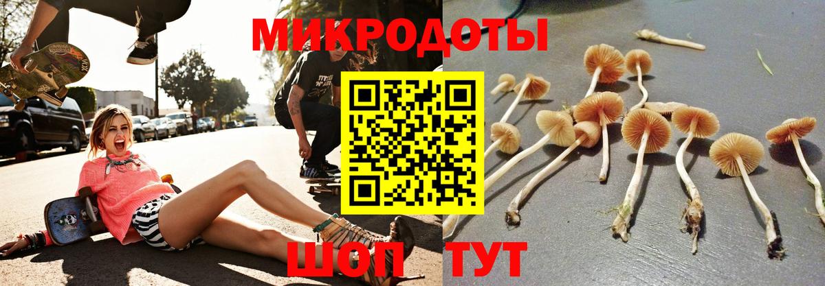 как найти   Псилоцибиновые грибы GOLDEN TEACHER  Россия  Вход с VPN  Псилоцибиновые грибы MAGIC MUSHROOMS 